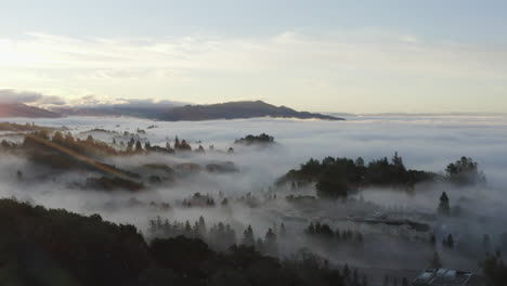 aerial view of santa rosa, california covered by dense fog and sun flares in frame