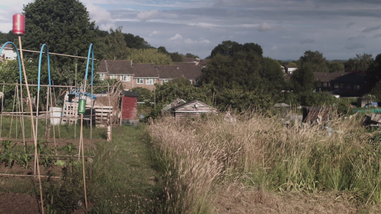 바람이 부는 날 야외에서 허수아비와 집들이 있는 채소 재배를 위한 마당