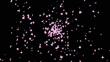 los pétalos de las flores rosas cayendo