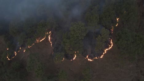 the aerial view shows the fires in the hattiban forest on the outskirts of kathmandu, nepal.