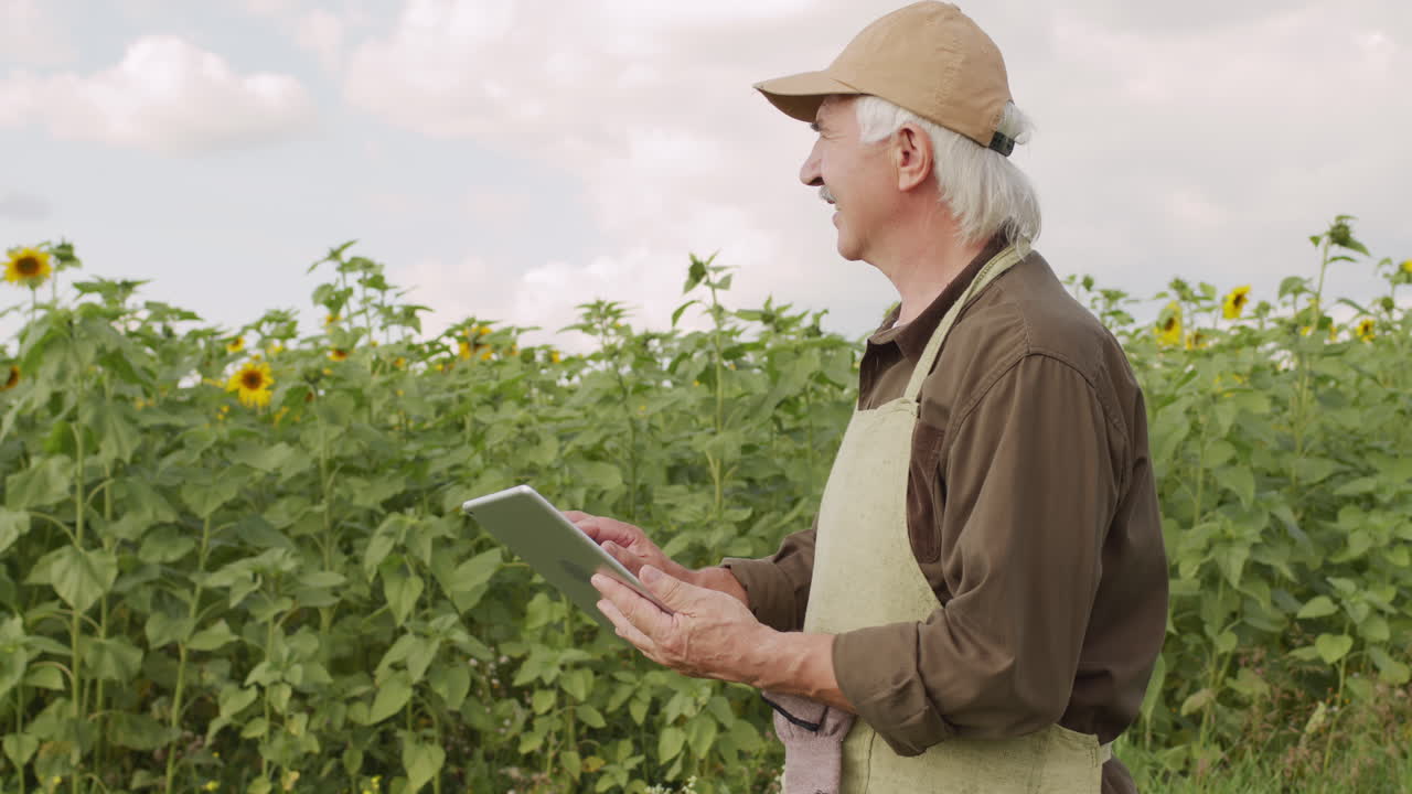 Senior Agronomist With Tablet In Rural Field