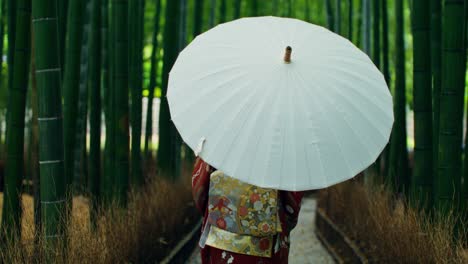 woman in kimono in a bamboo forest