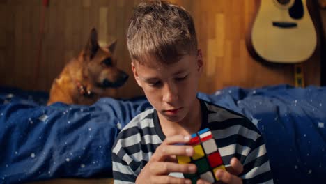 boy solving a rubix cube in a bedroom with a dog
