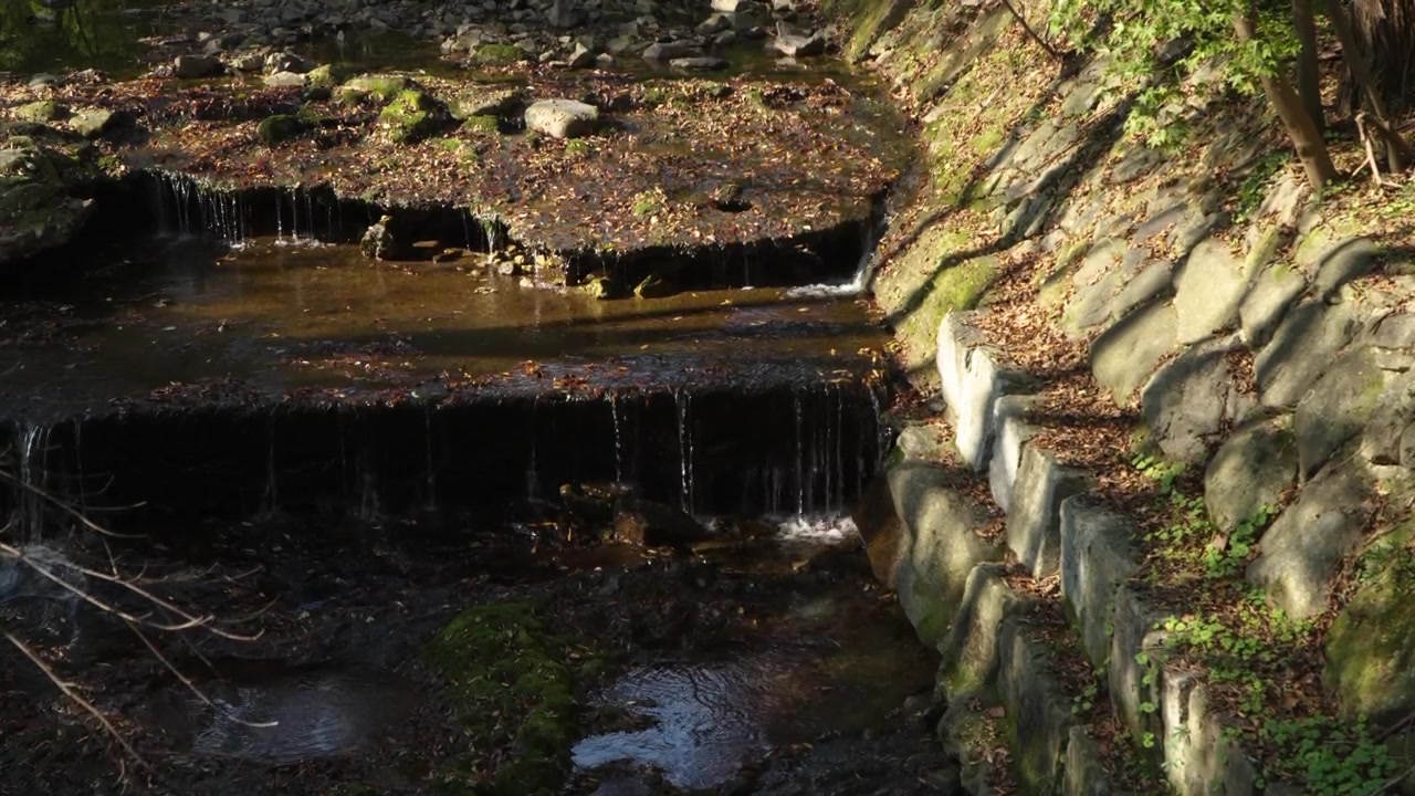 Water drips over stone ledges in shaded Naejangsan forest as autumn tones reflect across the creek surface
