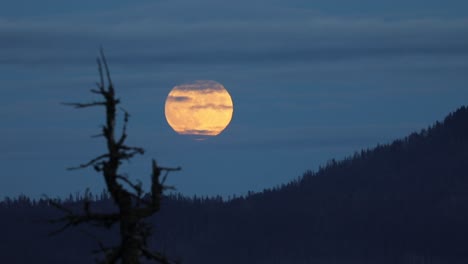 primer plano de la superluna de la cosecha que se eleva sobre las montañas de la cascada en el sur de oregón