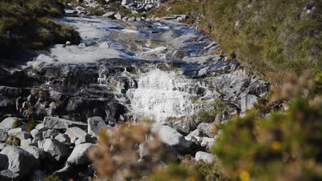 vista de ángulo bajo de una pequeña cascada natural