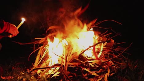 Lagerfeuer-Aus-Trockenen-Blättern