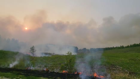 view of wildfire burn patches and smoke in green forested field, alberta, canada fox creek wildfire