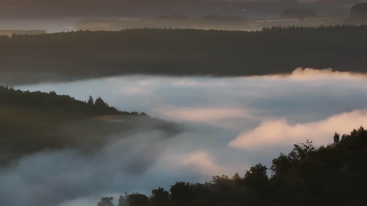 Foggy Landscape with Trees and Mountains