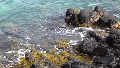 las olas del mar rompiendo en las rocas a lo largo de la orilla del mar