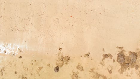 toma aérea inclinada hacia arriba y rodante hacia atrás de una playa tropical que revela una isla tropical