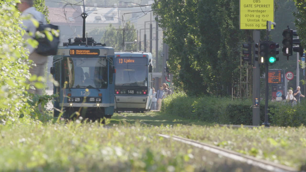 Greenery and grass growing on Oslo tramway with running trams, Scandinavian city