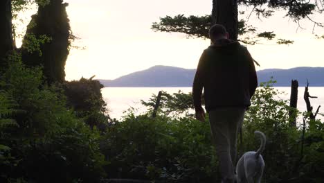 man with his dog walking through green foliage near the shores of washington park in anacortes, washington usa