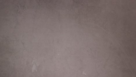 la mujer puso la caja y puso los huevos en la caja.