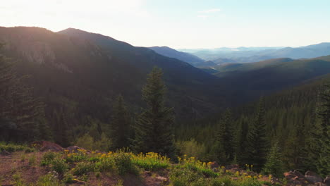 Cinematográfico-Aéreo-Zumbido-Mañana-Amanecer-Flores-Silvestres-Denver-Monte-Evans-14er-Lagos-Chicago-Frente-Estribaciones-Montañas-Rocosas-Manantiales-De-Idaho-Hoja-Perenne-Paso-De-India-Eco-Montaña-Lago-árboles-Control-Deslizante-Derecha