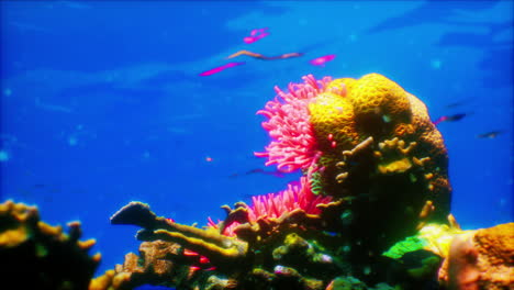 vibrant coral reef with tropical fish