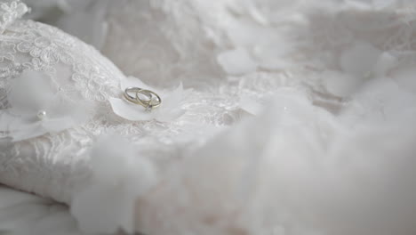 detail of wedding rings decorated on a dress