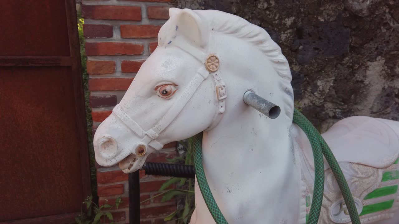 caballo de madera realmente aterrador en el patio trasero de mamá en cuernavaca morelos méxico