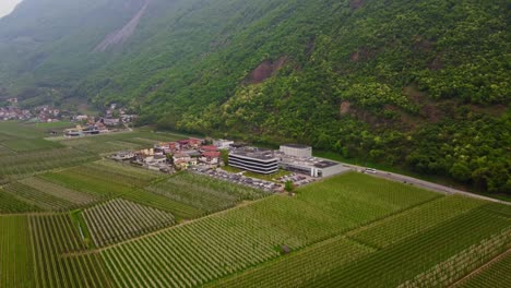 drone approach showing neat apple rows and countryside infrastructure among alpine backdrop, south tyrol italy