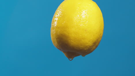 water drops flowing from a whole sour and fresh lemon down on a blue background, fruit for fresh and natural juice, cold diet drink with vitamin c