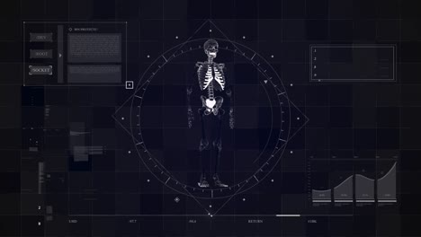 abstract skeleton medical hud background 4k