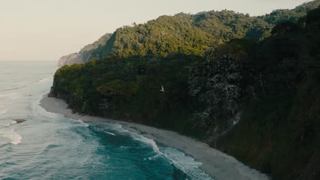 Toma-Aérea-De-Un-Nido-De-Pelícano-En-La-Playa,-Pájaros-Volando,-Colombia,-La-Guajira