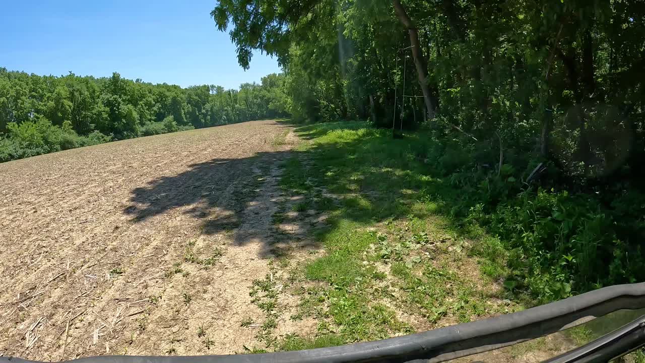 - pov utt conduciendo a lo largo de un campo plantado cerca de la madera en un brillante día soleado en el medio oeste