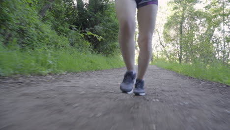 legs of young woman running on a forest trail at sunset