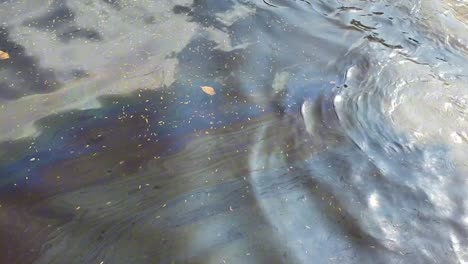 glaçage à l'huile sur l'eau de mer en mouvement