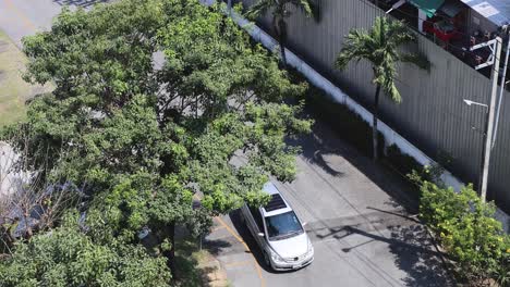 vehicle navigating through a tree-lined parking area