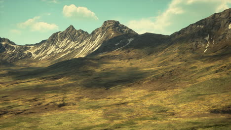 hillside overgrown with dry grass against the backdrop of snow-capped mountains