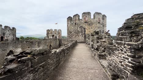 walking conwy castle walls north wales