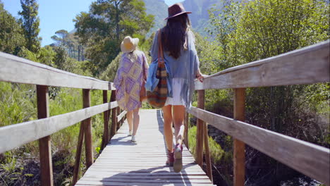 4k-video-of-two-friends-walking-in-a-forest