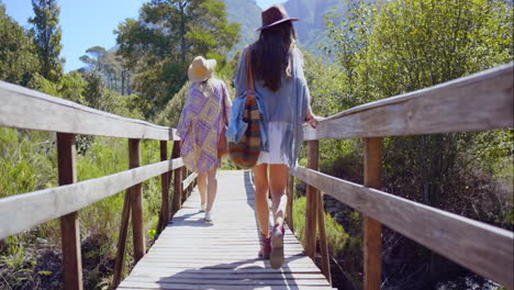 video de 4k de dos amigos caminando en un bosque