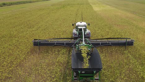 Cosechando-Cannabis-Con-Un-Tractor-En-Un-Campo