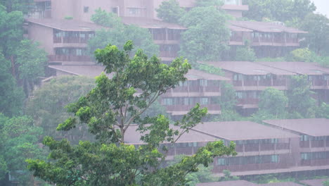 rain falling on the bungalows and trees in koh phi phi island in thailand