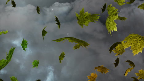 animation of leaves falling over storm clouds