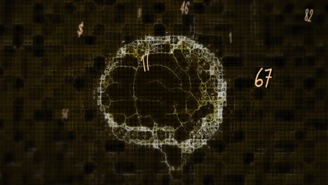 múltiples números flotando contra el cerebro humano girando sobre un fondo negro