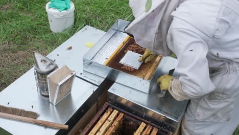 Man-in-apiary-protective-clothes-cleans-honeycomb-with-brush