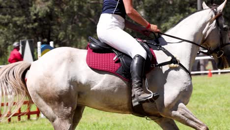 rider and horse clearing a show jumping obstacle.