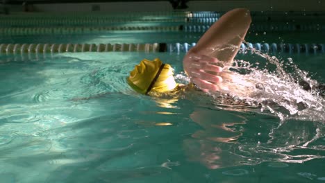 fit woman swimming in the pool