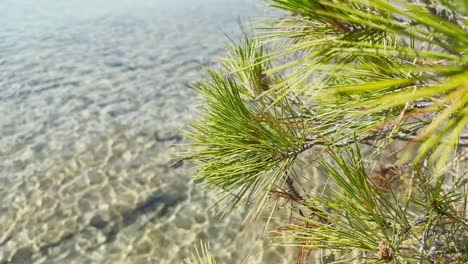 Clean-blue-flag-beaches-of-Halkidiki-Peninsula,-Greece