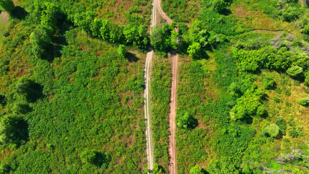 Aerial tilt shot over a dirt road in Skadar lake national park, in Montenegro