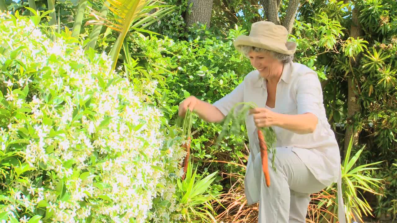 정원에서 당근을 모으는 성숙한 여성