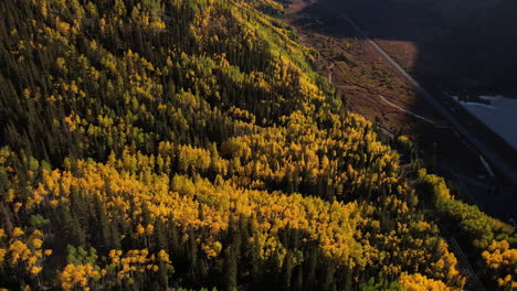 Vista-Aérea-Del-Bosque-En-Colores-De-Otoño-En-La-Hora-Dorada,-Camino-Rural-En-El-Valle,-Colorado,-EE.UU.