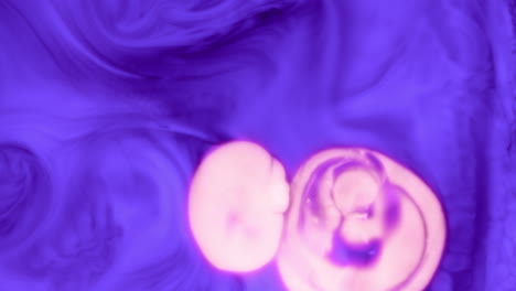 organic purple abstract art effect with white fluid expanding in it