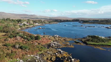 aerial drone view panning backwards over rural lakes and meadows in galway ireland