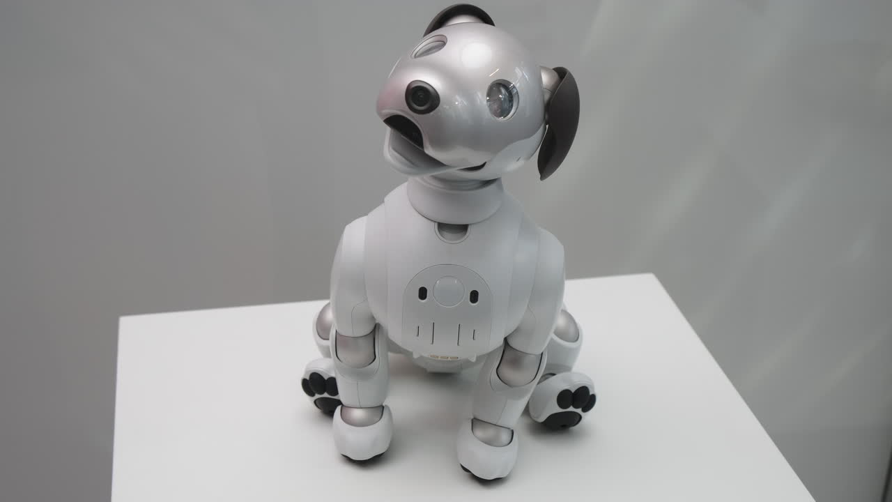 cane robot sony aibo