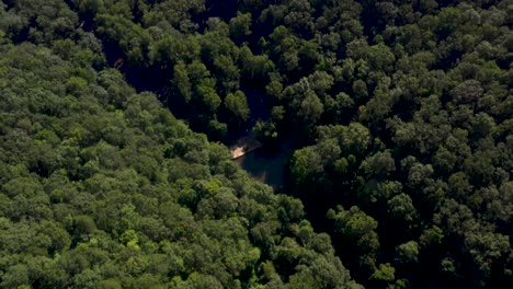 Beautiful-Nature-Scenery-of-Amicalola-Falls-State-Park-in-Georgia,-Aerial