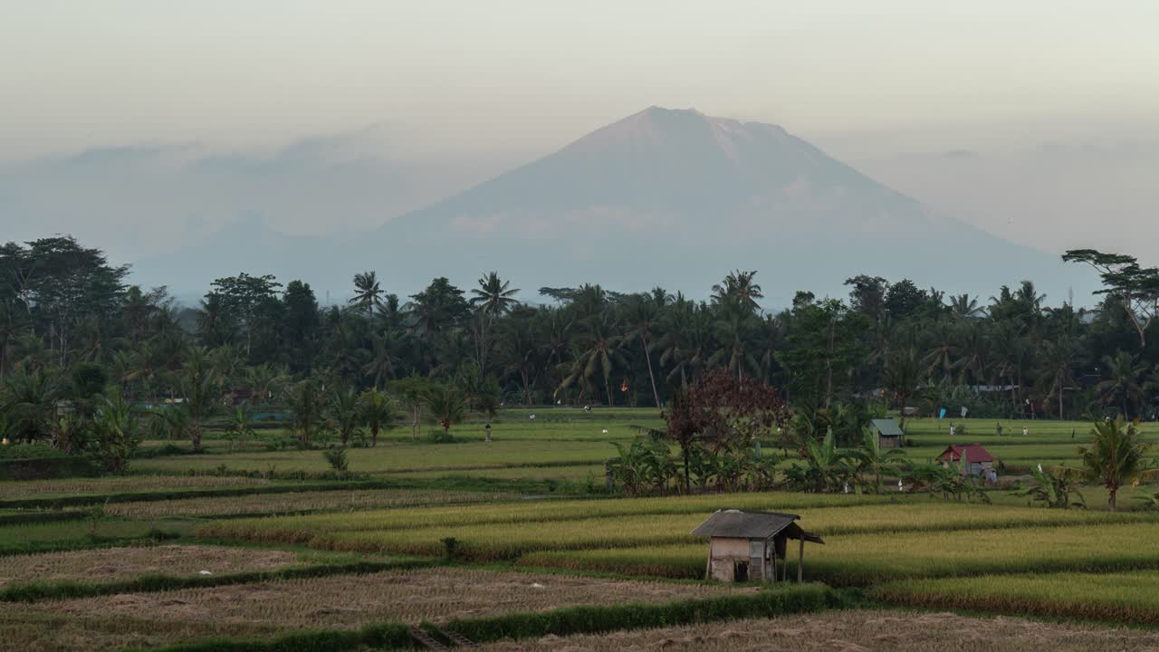 Sunrise over Rice Paddies and Volcano